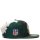 NewEra NFL22 SL Ink 950 Cap - Green Bay Packers