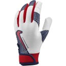 Batting Gloves Nike Hyperdiamond 2.0 Adult - Blue/Red